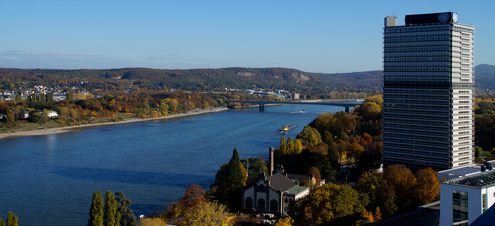 iQ! Bonn • Internationalisierung & Qualitätsmanagement in Forschung & Lehre 