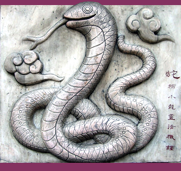 2025 – Das Jahr der Holz-Schlange